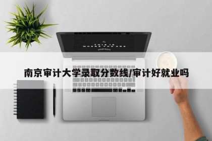 南京审计大学录取分数线/审计好就业吗