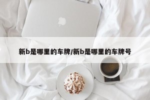 新b是哪里的车牌/新b是哪里的车牌号