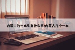 内蒙古的一本生有什么用/内蒙古几个一本