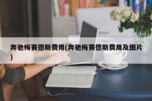 奔驰梅赛德斯费用(奔驰梅赛德斯费用及图片)