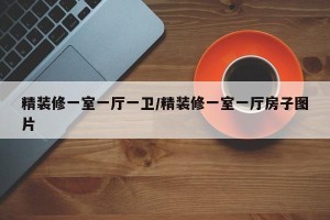 精装修一室一厅一卫/精装修一室一厅房子图片