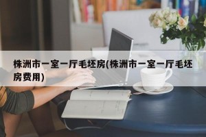 株洲市一室一厅毛坯房(株洲市一室一厅毛坯房费用)