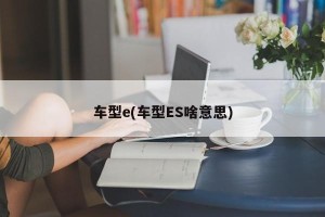 车型e(车型ES啥意思)