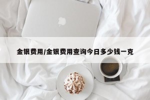 金银费用/金银费用查询今日多少钱一克